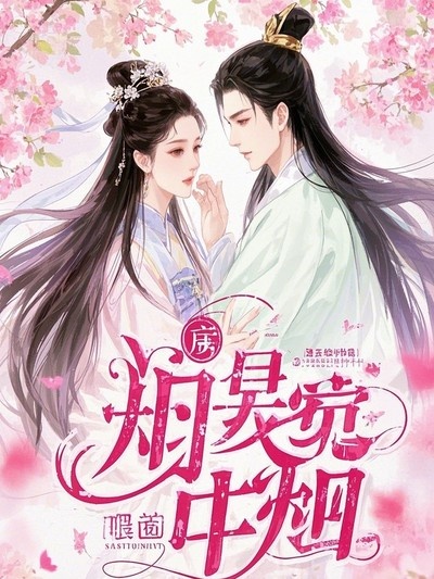 江婉寧沈沐宸顧琛的故事出自哪本小說？